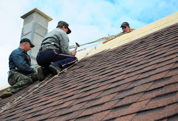Best Shingle Roofing Installation  in Churchville, NY
