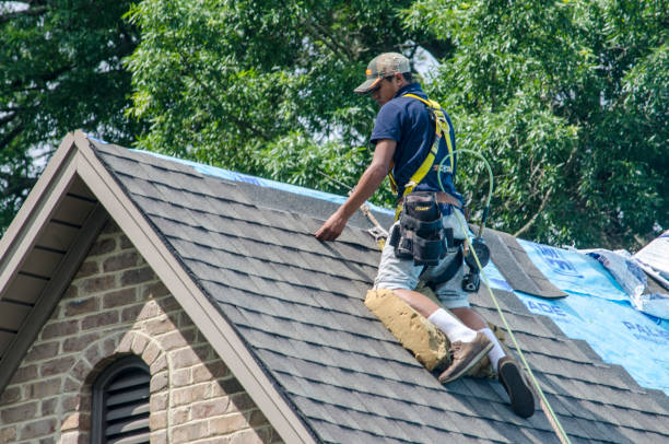 Best Shingle Roofing Installation  in Churchville, NY